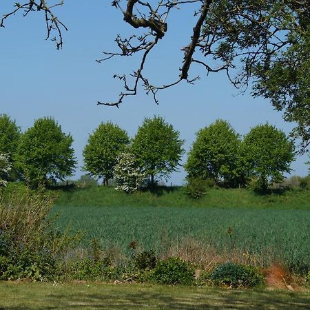 Vakantiewoning Het Olietunnetje Ovezande ภายนอก รูปภาพ