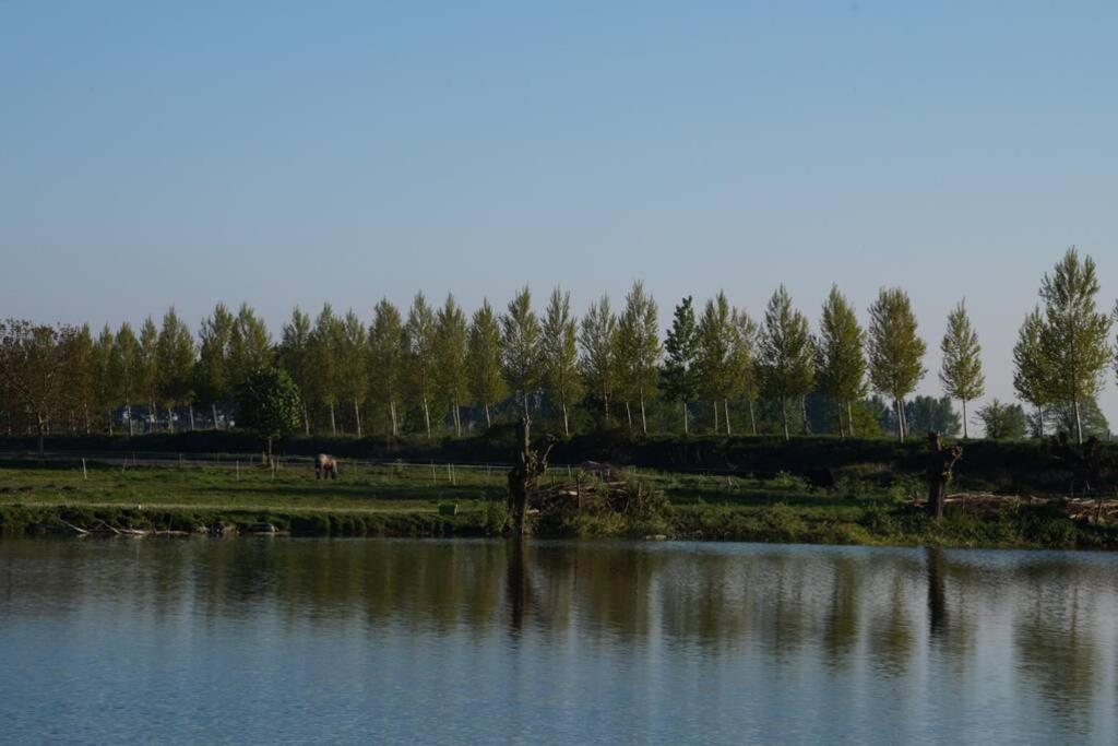 Vakantiewoning Het Olietunnetje Ovezande ภายนอก รูปภาพ