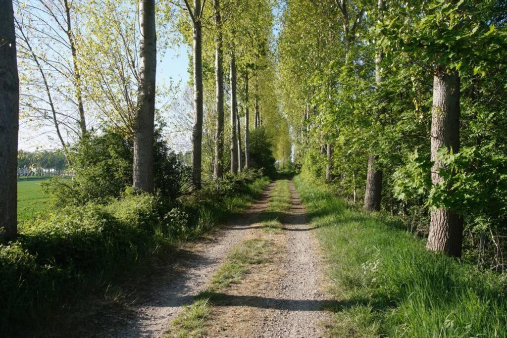 Vakantiewoning Het Olietunnetje Ovezande ภายนอก รูปภาพ