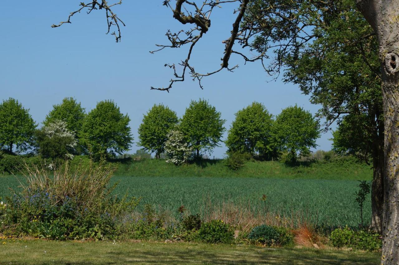 Vakantiewoning Het Olietunnetje Ovezande ภายนอก รูปภาพ
